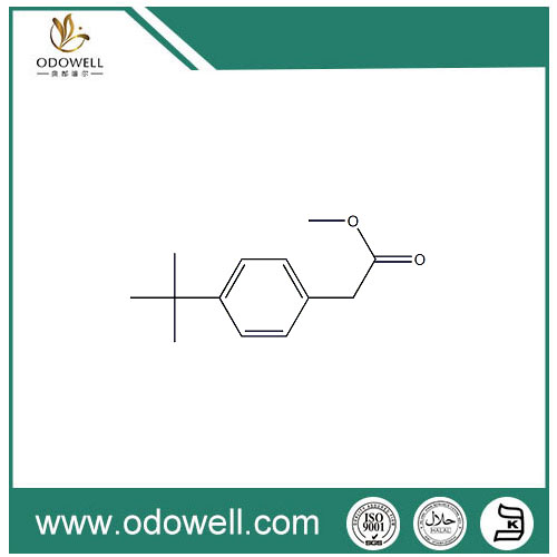 Metil P-Tert-Butylphenylacetate