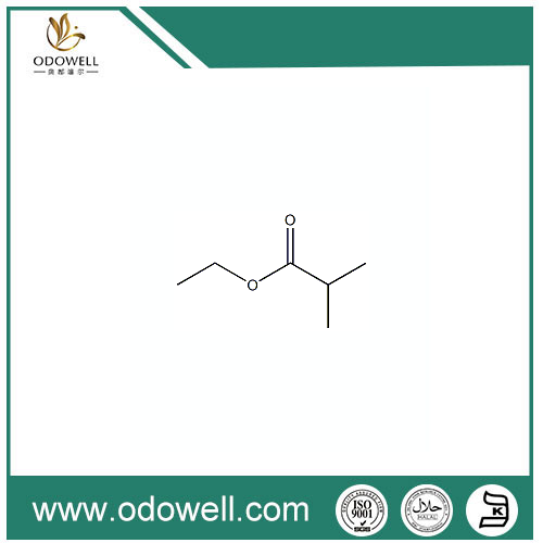 Ethyl Isobutyrate