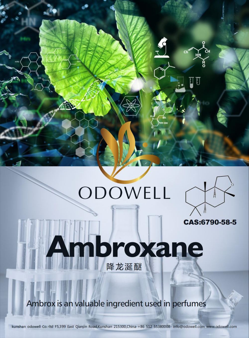 Odowell meraikan tahun yang berjaya untuk Ambroxane (Ambrox)
