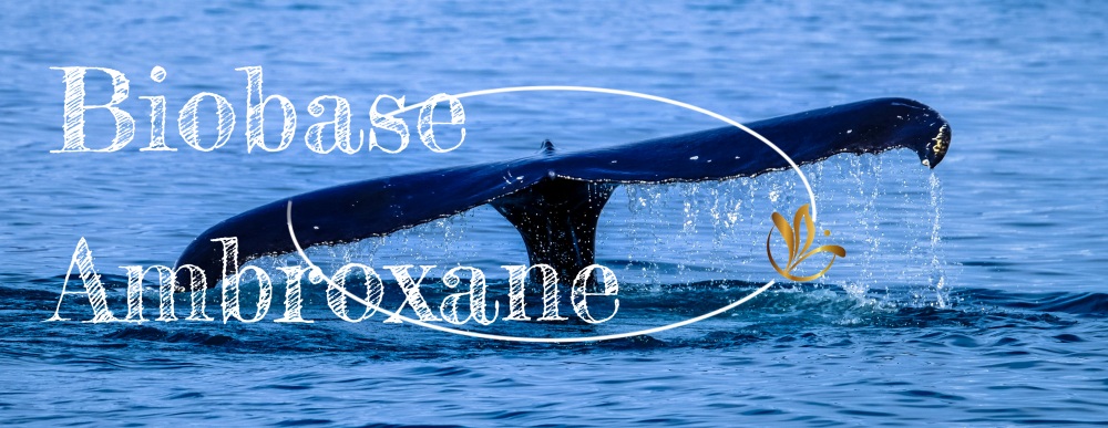 60-an Dapatkan Biobase Ambrox: Revolusi Amergris berkuasa Perilla