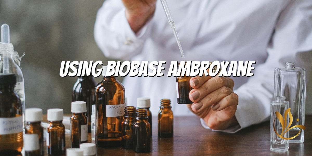 Menguasai Ambrox - Panduan minyak wangi untuk ciptaan abadi