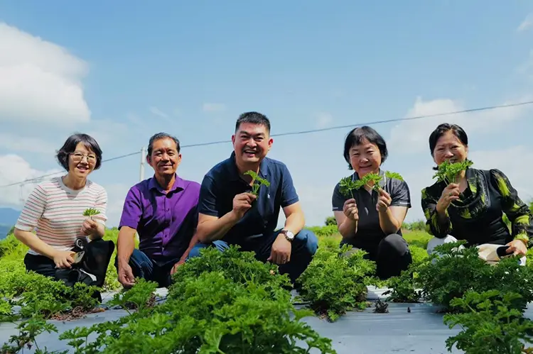 Lawatan Penyelidikan dan Kajian Yunnan Odowell pada bulan Ogos 2025