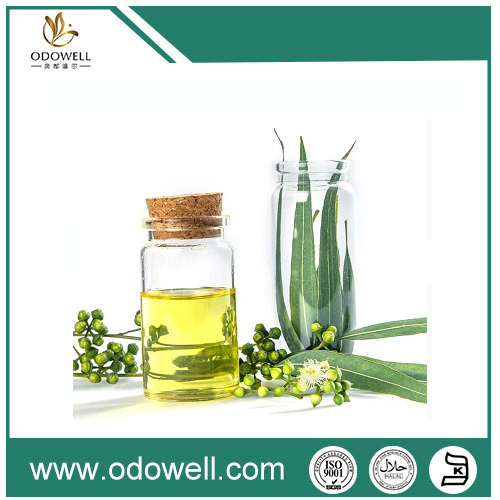 Memperkenalkan Minyak Eucalyptus Premium kami (Eucalyptus globulus) -Aral, sahih, dan serba boleh