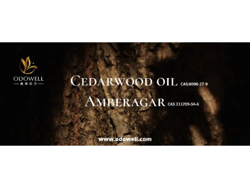 Adakah aroma tandatangan anda benar -benar unik?