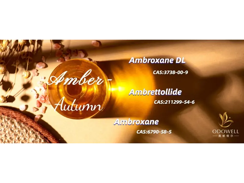 Apakah aroma neutral jantina teratas untuk 2025