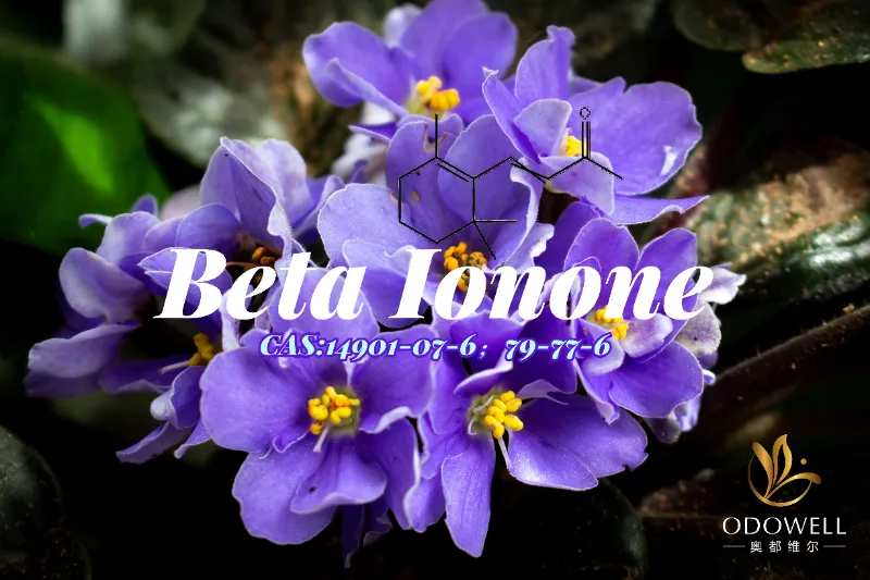Beta Ionone – Keton Violet-Woody Klasik ODOWELL untuk Kedalaman Wangian Halus