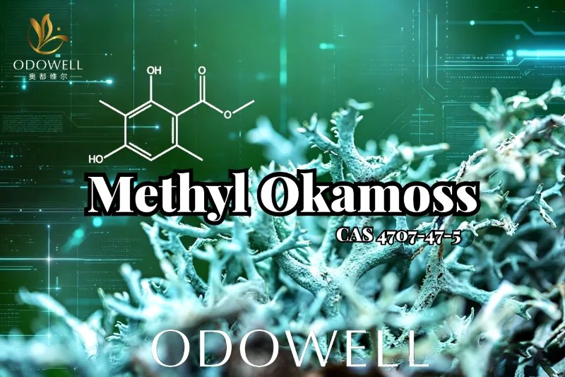 ODOWELL Memperkenalkan Methyl Okamoss: Oakmoss Sintetik Asli untuk Penguasaan Chypre dan Fougère