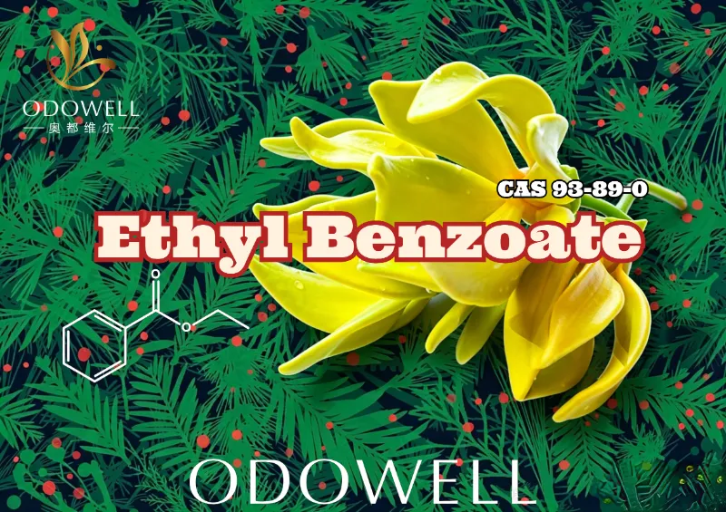 ODOWELL Melancarkan Etil Benzoat: Ester Wintergreen-Ylang Hangat untuk Keanggunan Bunga dan Oriental
