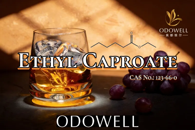 ​ODOWELL Mengesyorkan Ethyl Caproate untuk Aplikasi Perisa Buah dan Seperti Wain