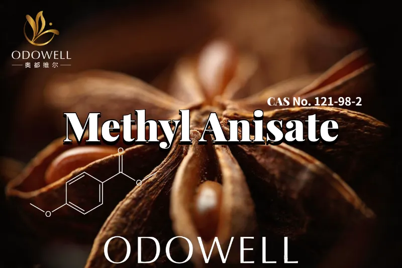 ​ODOWELL Mengesyorkan Metil Anisat untuk Aplikasi Wangian Manis Anisic dan Seperti Vanila