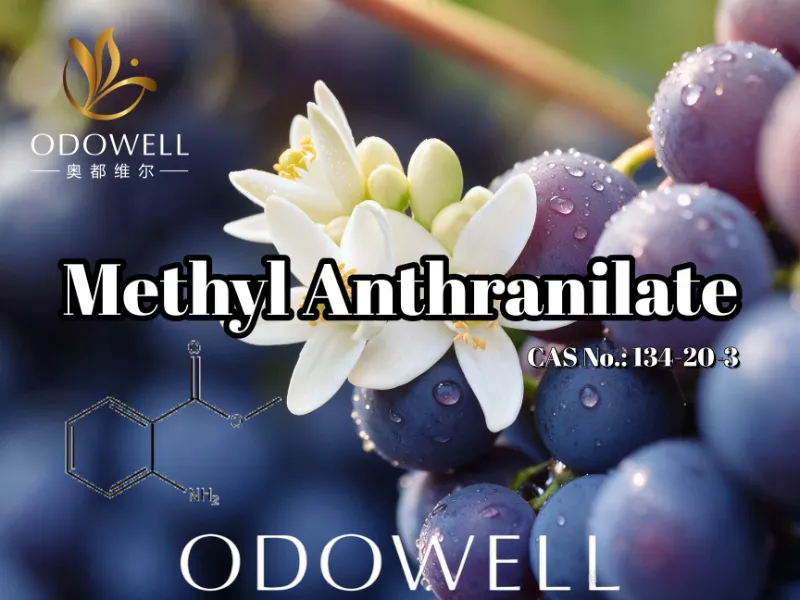 ​ODOWELL Mengesyorkan Methyl Anthranilate untuk Aplikasi Anggur, Bunga Oren dan Neroli