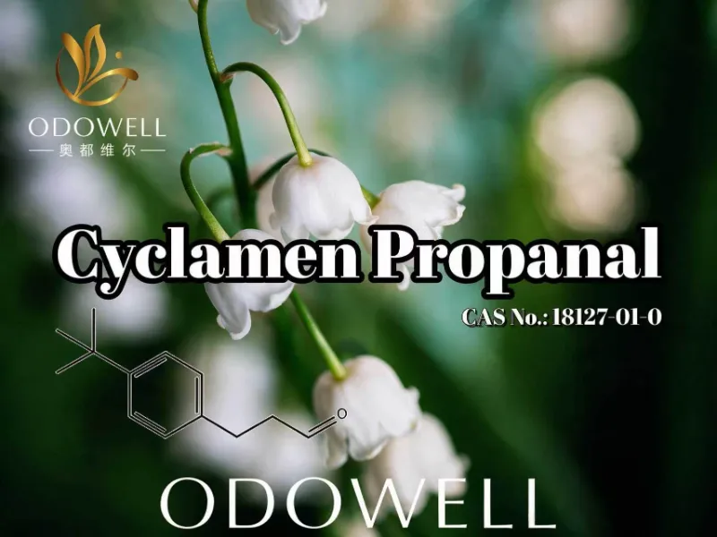 ​ODOWELL Mengesyorkan Cyclamen Propanal untuk Aplikasi Wangian Bunga dan Muguet Segar