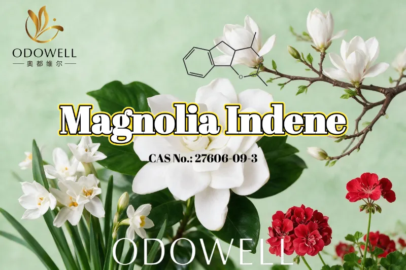 ODOWELL Mengesyorkan Magnolia Indene untuk Aplikasi Wangian Bunga-Hijau dan Citrusy Segar