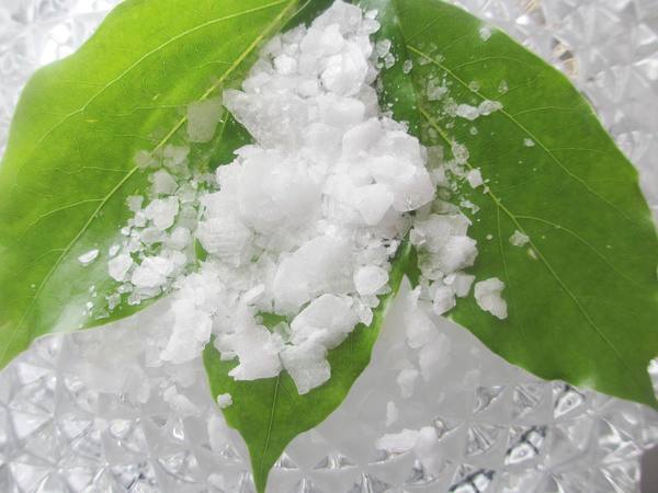 Borneol Flakes sintetik