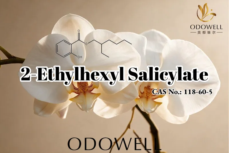 2-Ethylhexyl Salicylate, CAS No. 118-60-5